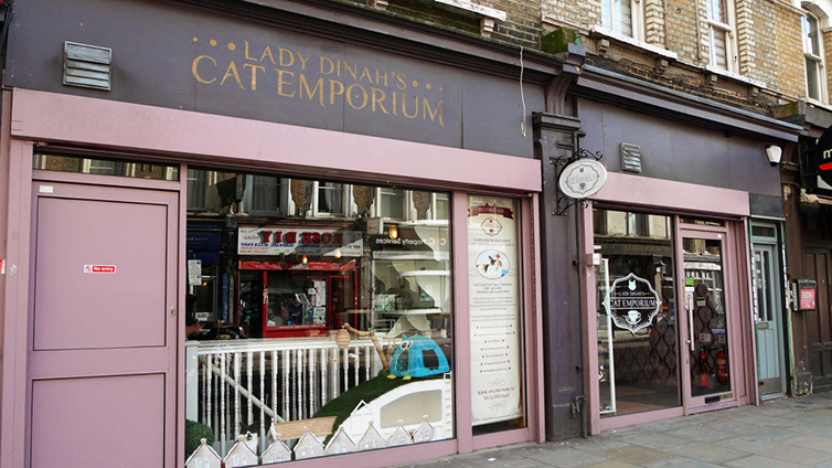 What a purrfect idea for a cafe cat emporium2