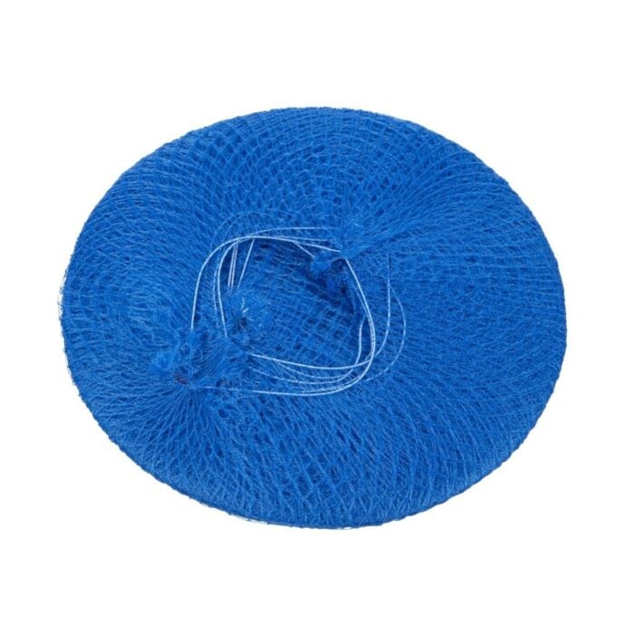 Lion Haircare Hair Net Light Blue