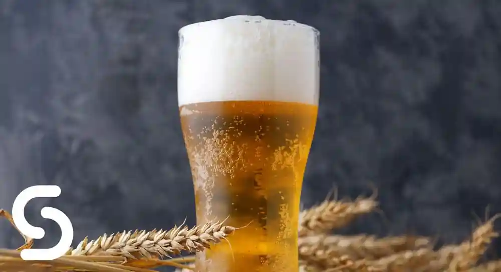 A Guide to Pilsner Beer Glasses - Smart Hospitality Supplies