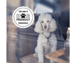 We are a Dog Friendly Window Sticker - Smart Hospitality Supplies