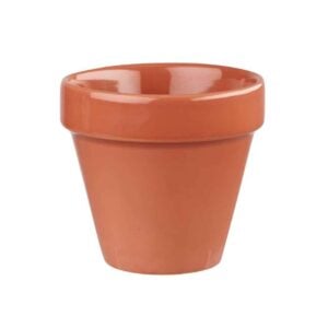 Churchill Bit On The Side Plant Pot Paprika 17oz