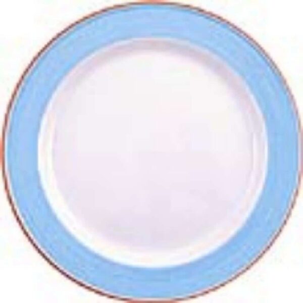 Steelite Rio Blue Service Plates 300mm