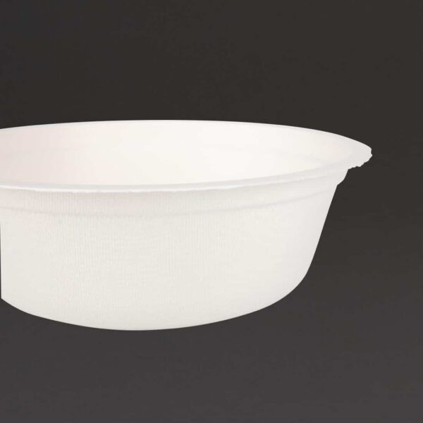Fiesta Compostable Bagasse Bowls Round 18oz (Pack of 50) - Image 4