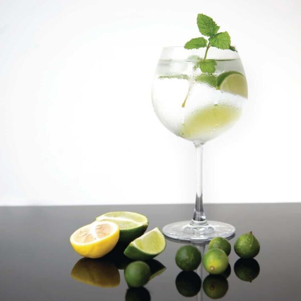 Olympia Bar Collection Crystal Gin Glasses 645ml (Pack of 6) - Image 15