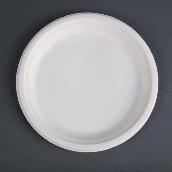 Fiesta Compostable Bagasse Plates Round 260mm (Pack of 50) - Image 1