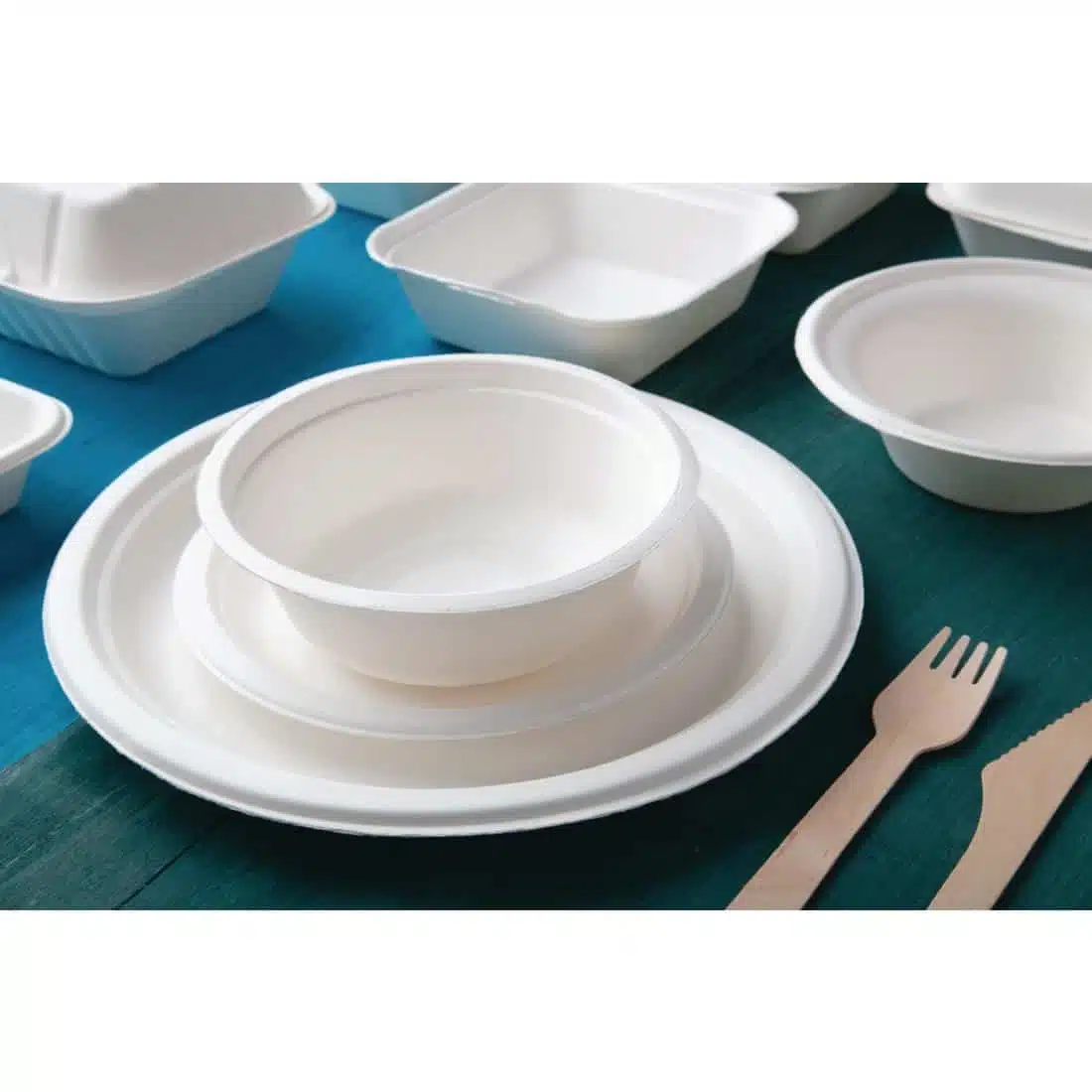 Fiesta Compostable Bagasse Bowls Round 10oz (Pack of 50) - Image 7