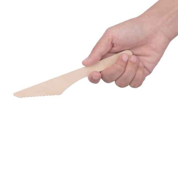 Fiesta Compostable Wooden Cutlery Meal Pack (Pack of 250) - Image 5