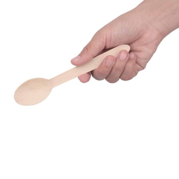 Fiesta Compostable Wooden Cutlery Meal Pack (Pack of 250) - Image 6