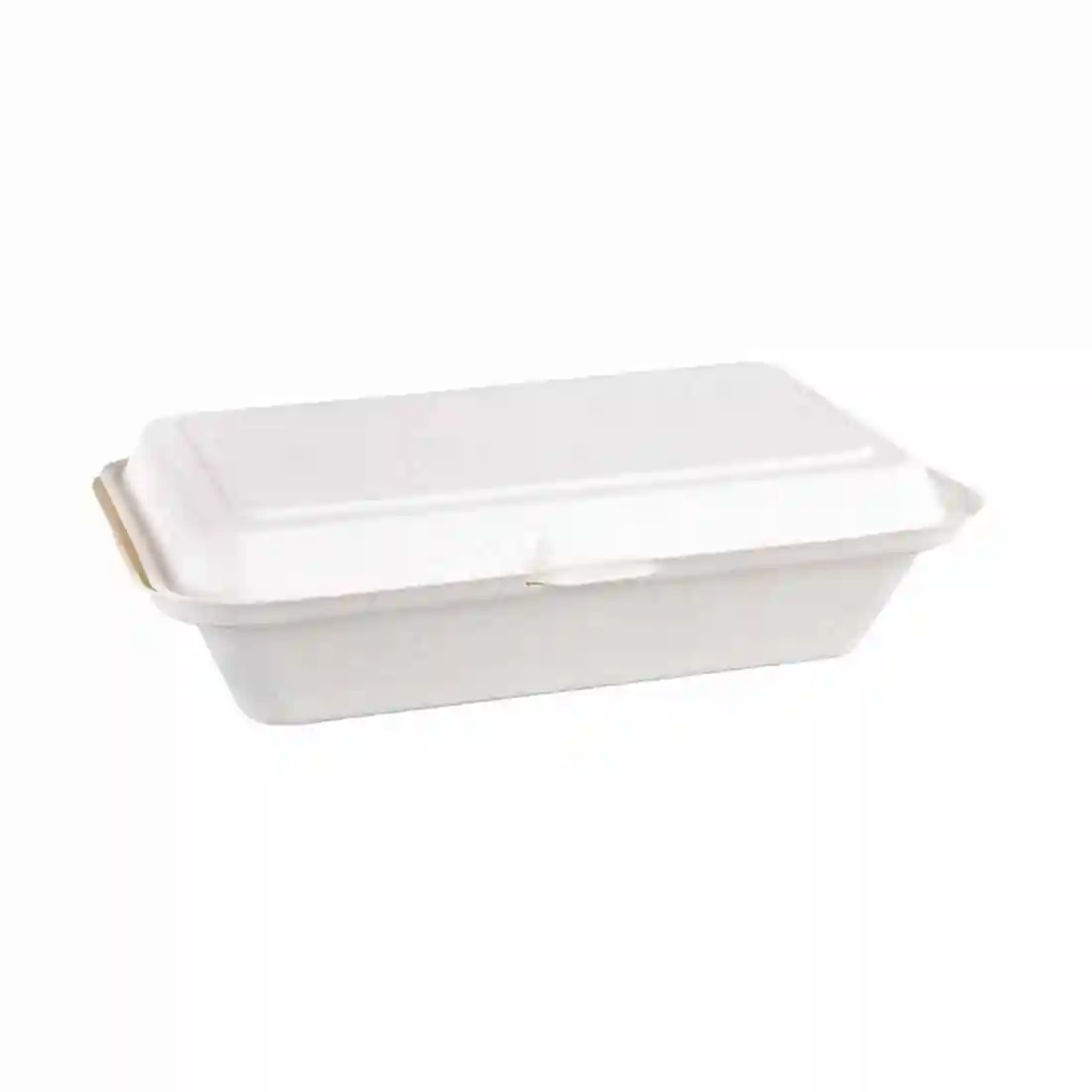 Fiesta Compostable Bagasse Hinged Food Containers 248mm - Image 2