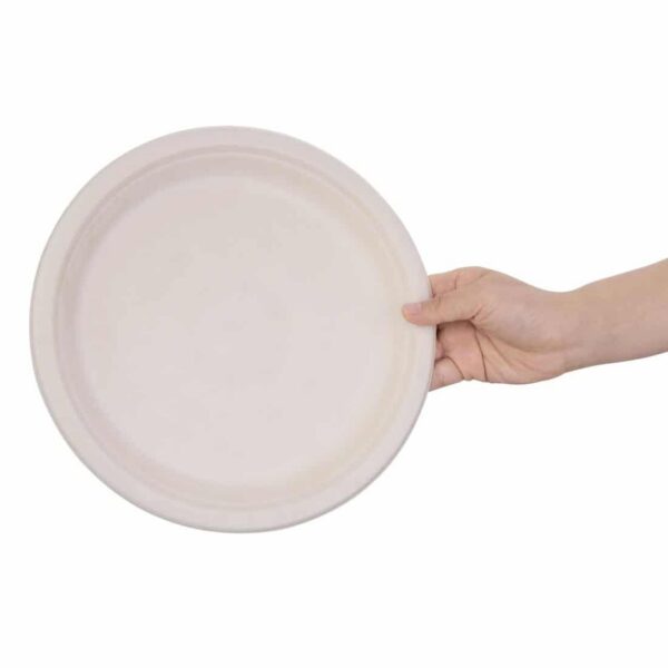 Fiesta Compostable Bagasse Round Plates Natural Colour 260mm (Pack of 50) - Image 5