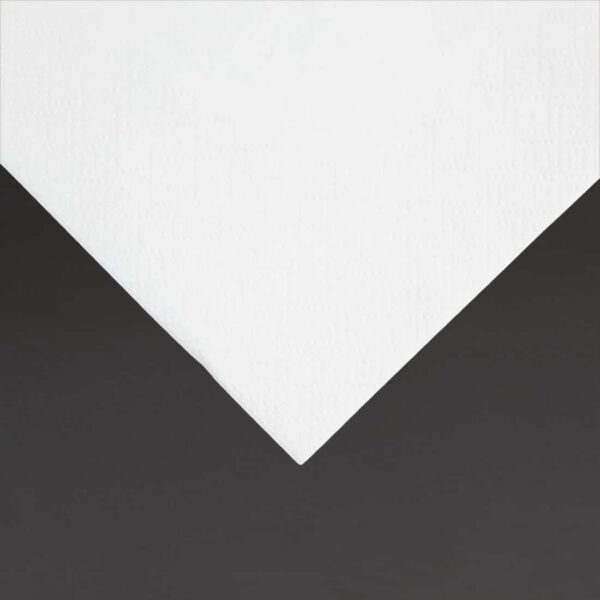 Fiesta Recyclable Cocktail Napkin White 24x24cm 2ply 1/4 Fold (Pack of 4000) - Image 4