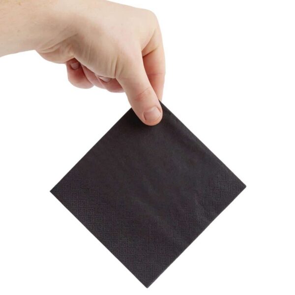 Fiesta Recyclable Cocktail Napkin Black 24x24cm 2ply 1/4 Fold (Pack of 4000) - Image 4