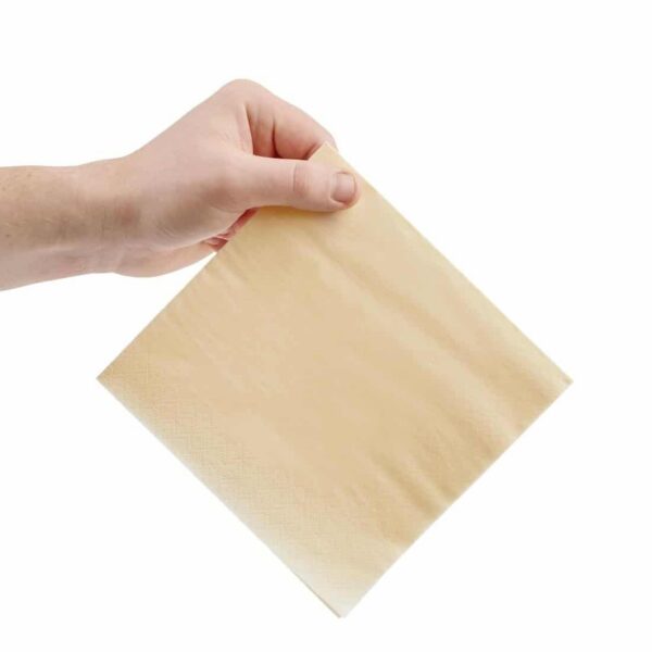 Fiesta Recyclable Lunch Napkin Cream 33x33cm 2ply 1/4 Fold (Pack of 2000) - Image 4