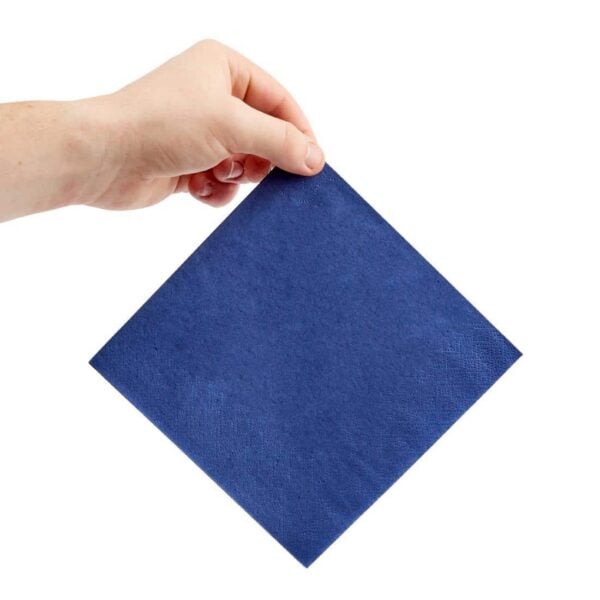 Fiesta Recyclable Lunch Napkin Blue 33x33cm 2ply 1/4 Fold (Pack of 2000) - Image 4