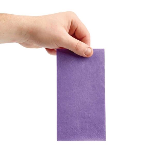 Fiesta Recyclable Lunch Napkin Plum 33x33cm 2ply 1/8 Fold (Pack of 2000) - Image 4