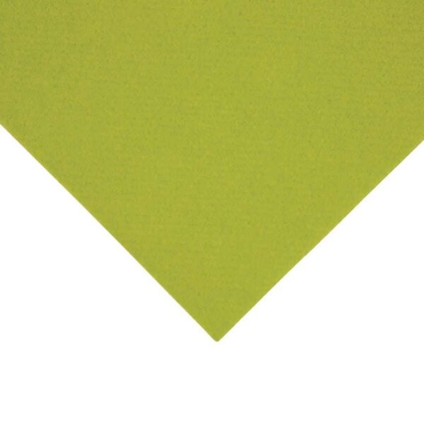 Fiesta Recyclable Premium Tablin Dinner Napkin Kiwi 40x40cm Airlaid 1/8 Fold (Pack of 500) - Image 3
