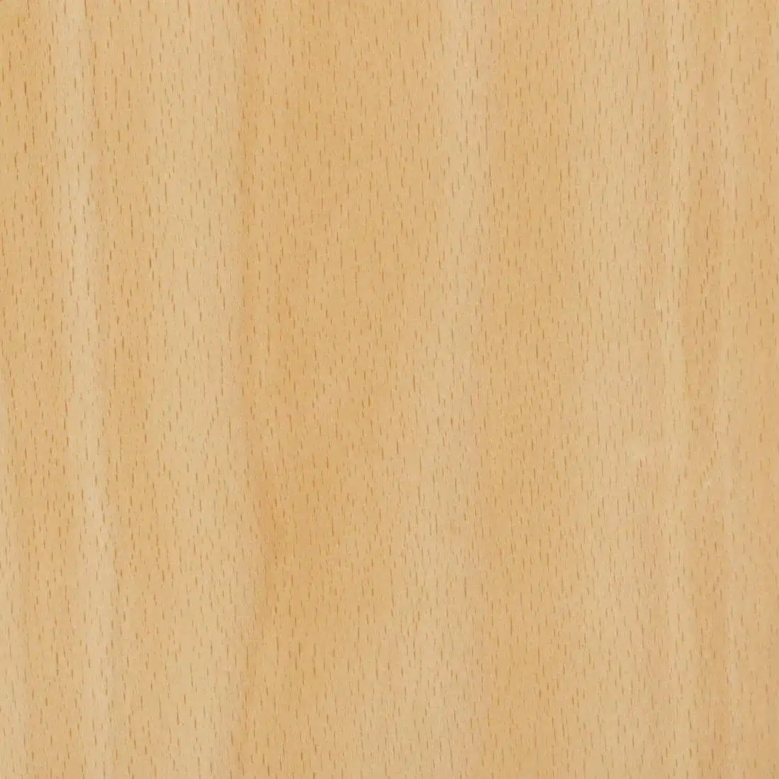 Bolero Square Back Sidechair (Natural Finish) (Pack 4) - Image 4