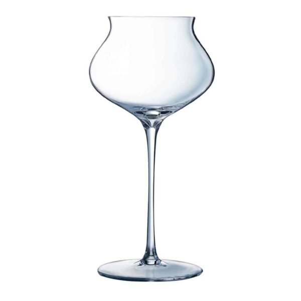 Arcoroc Macaron Fascination Champagne Flutes 300ml (24 pack) - Image 1