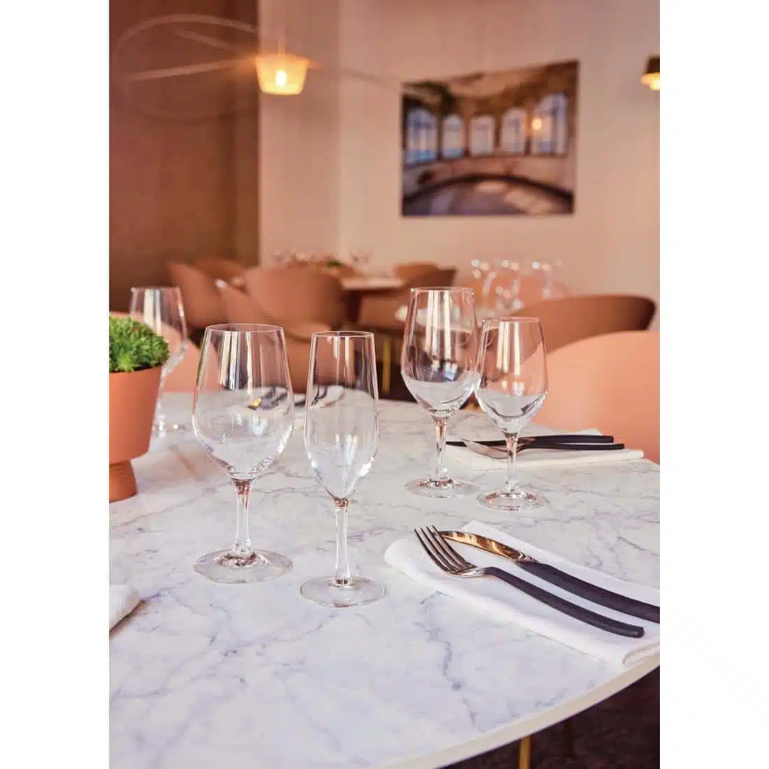 Chef & Sommelier Evidence Wine Glasses 270ml (24 pack) - Image 4