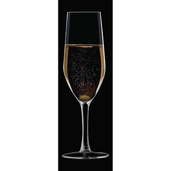 Chef & Sommelier Evidence Flute Glasses 160ml (24 pack) - Image 9