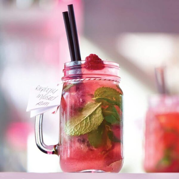 Onis Drinking Jars 490ml/17.25oz (6 Pack) - Image 2