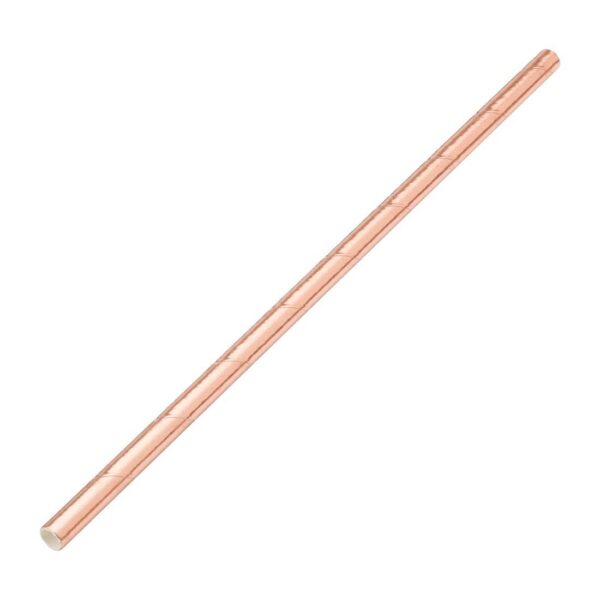 Biodegradable Paper Straws - Metallic
