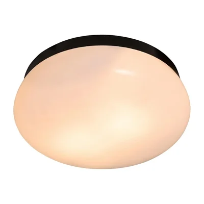 Ceiling Lights