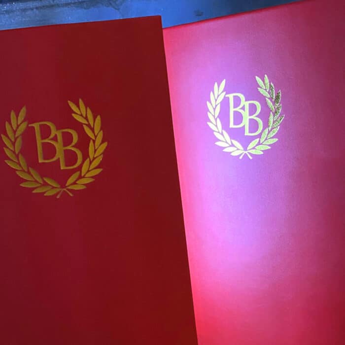 Illuminated LED Menu Covers