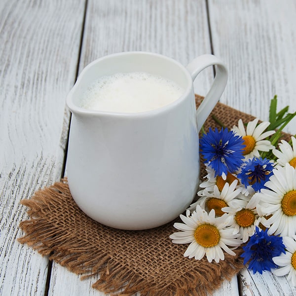 Milk Jugs