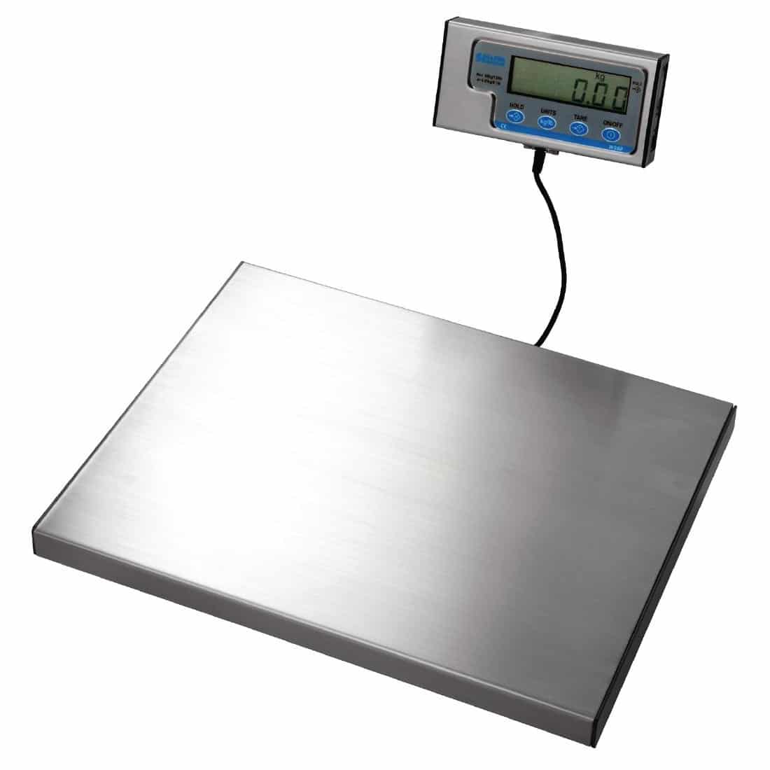 Salter Weighing Scales Spring Mechanical Weight Balance - China Spring and  Baby Scale