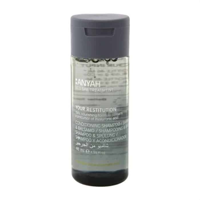 Anyah Eco Spa Conditioning Shampoo