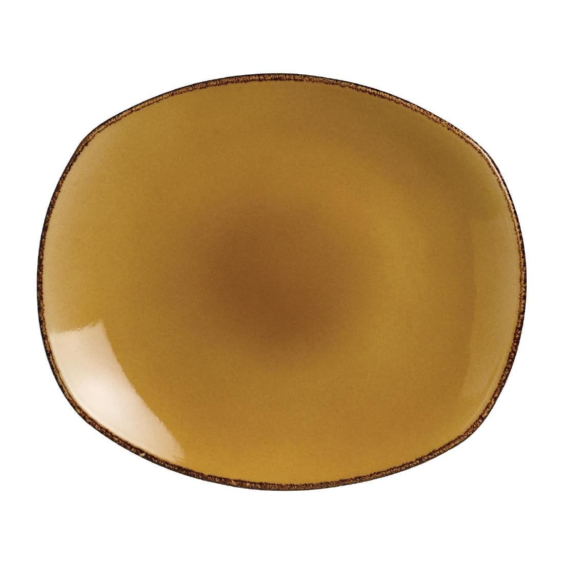 Steelite Terramesa Mustard Spice Plates 305mm