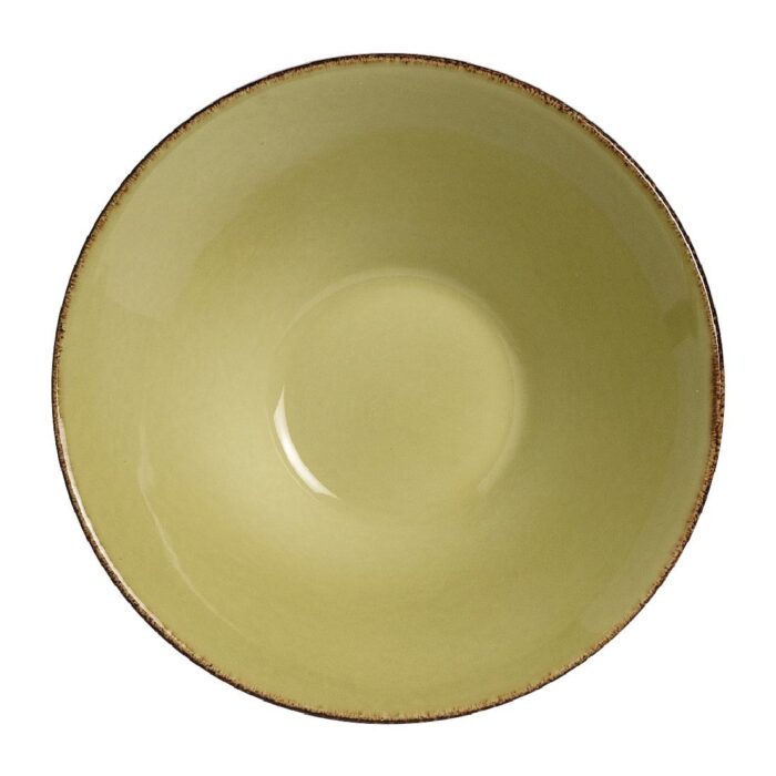 Steelite Terramesa Olive Essence Bowls 202mm