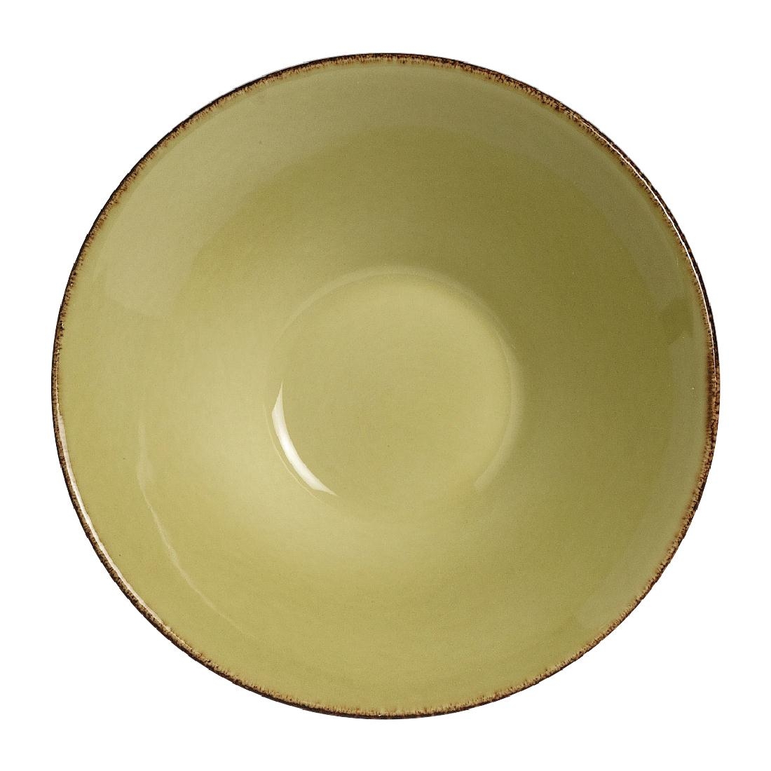 Steelite Terramesa Olive Essence Bowls 165mm