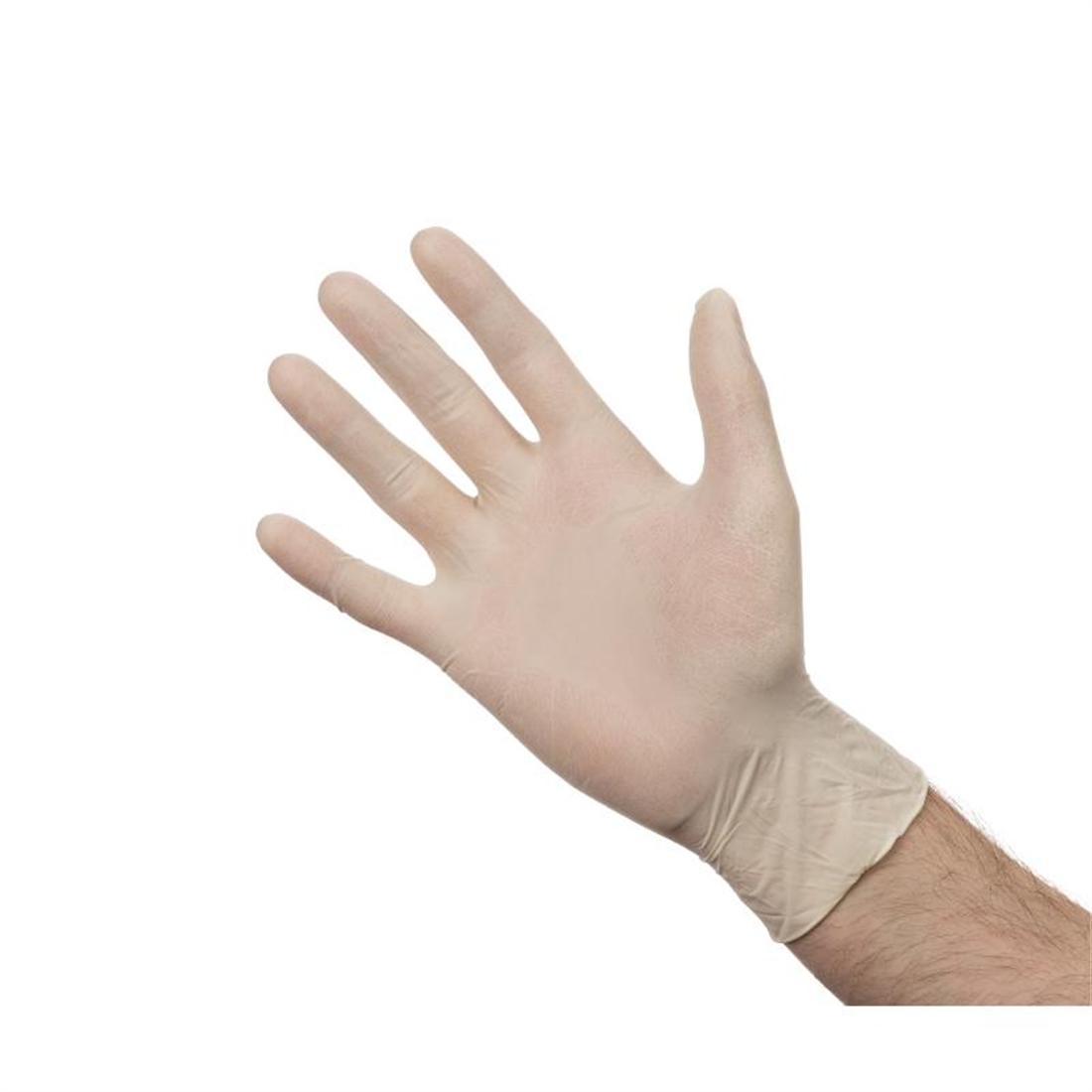 Powder Free Latex Gloves M