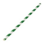 Biodegradable Paper Straws