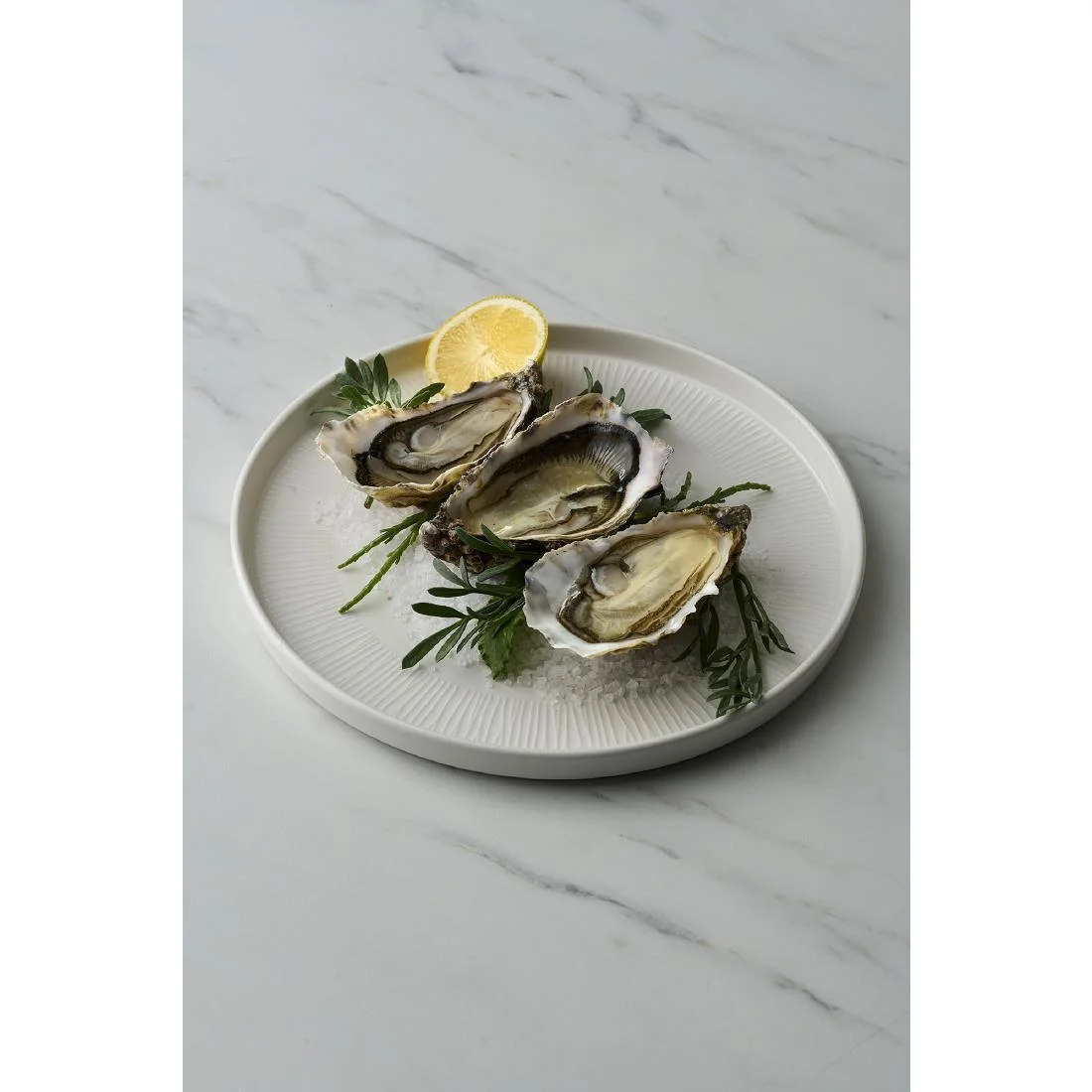 Churchill Bamboo White Walled Plates 260mm (6 Pack)