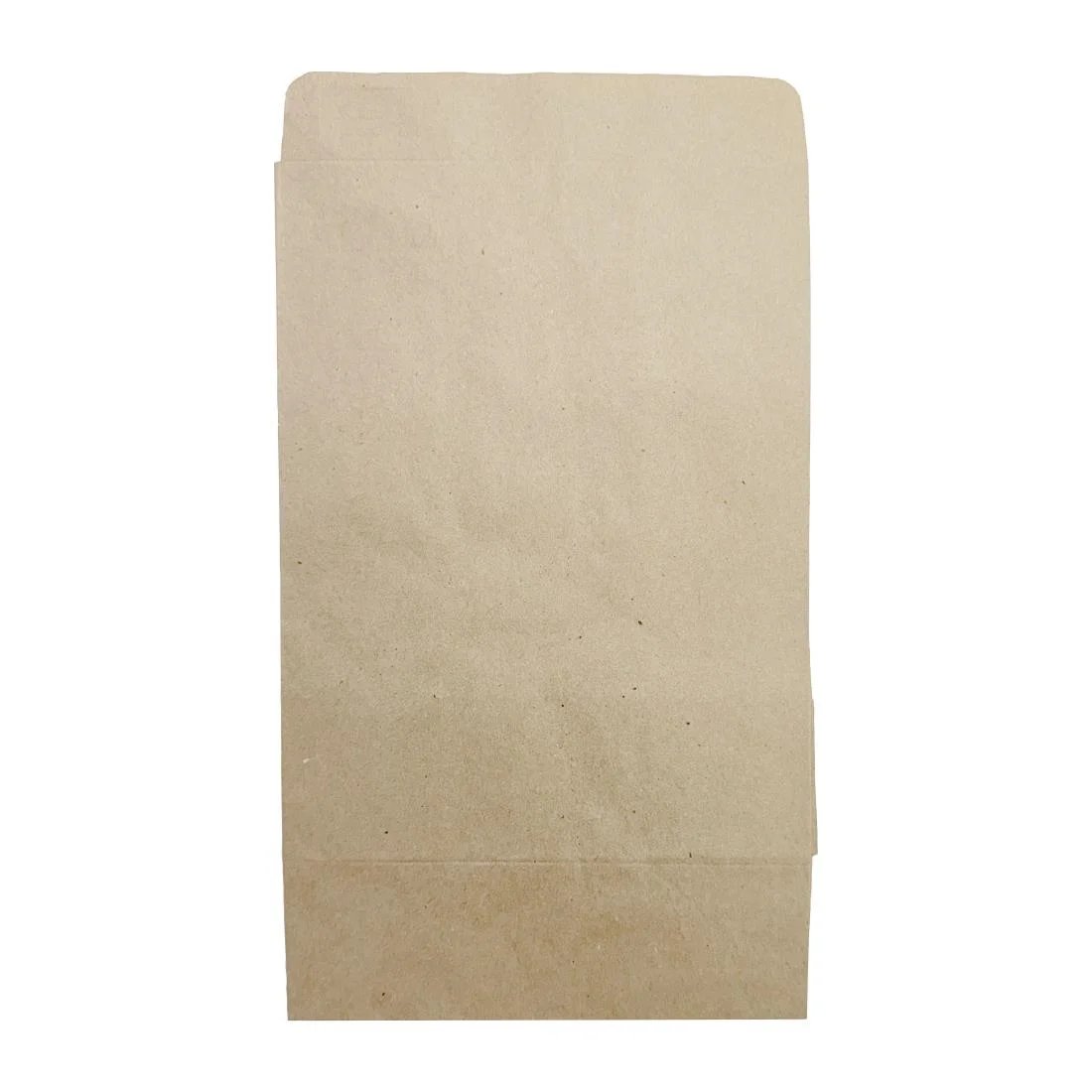 Fiesta Recyclable Sealable Takeaway Bags Medium (250 Pack) - Image 4