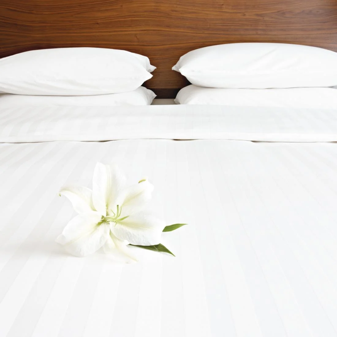 Mitre Comfort Satin Flat Sheet White Single