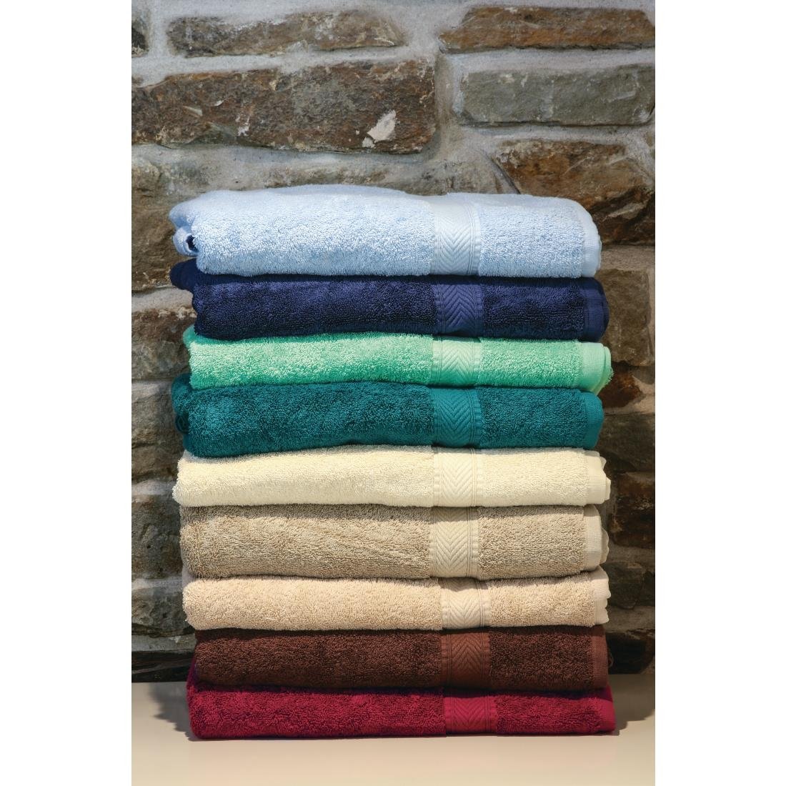 Mitre Essentials Nova Bath Towel Chocolate