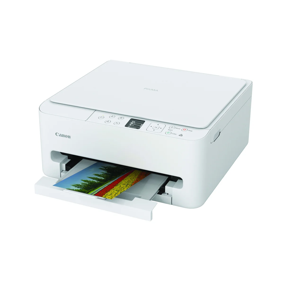 Canon Pixma TS6550i 3-in-1 Wireless Colour Inkjet Printer 7179C008 - Image 4