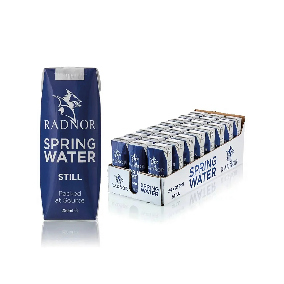 Radnor Still Spring Water 250ml Tetra Pak (Pack of 24) 0201025 - Image 2