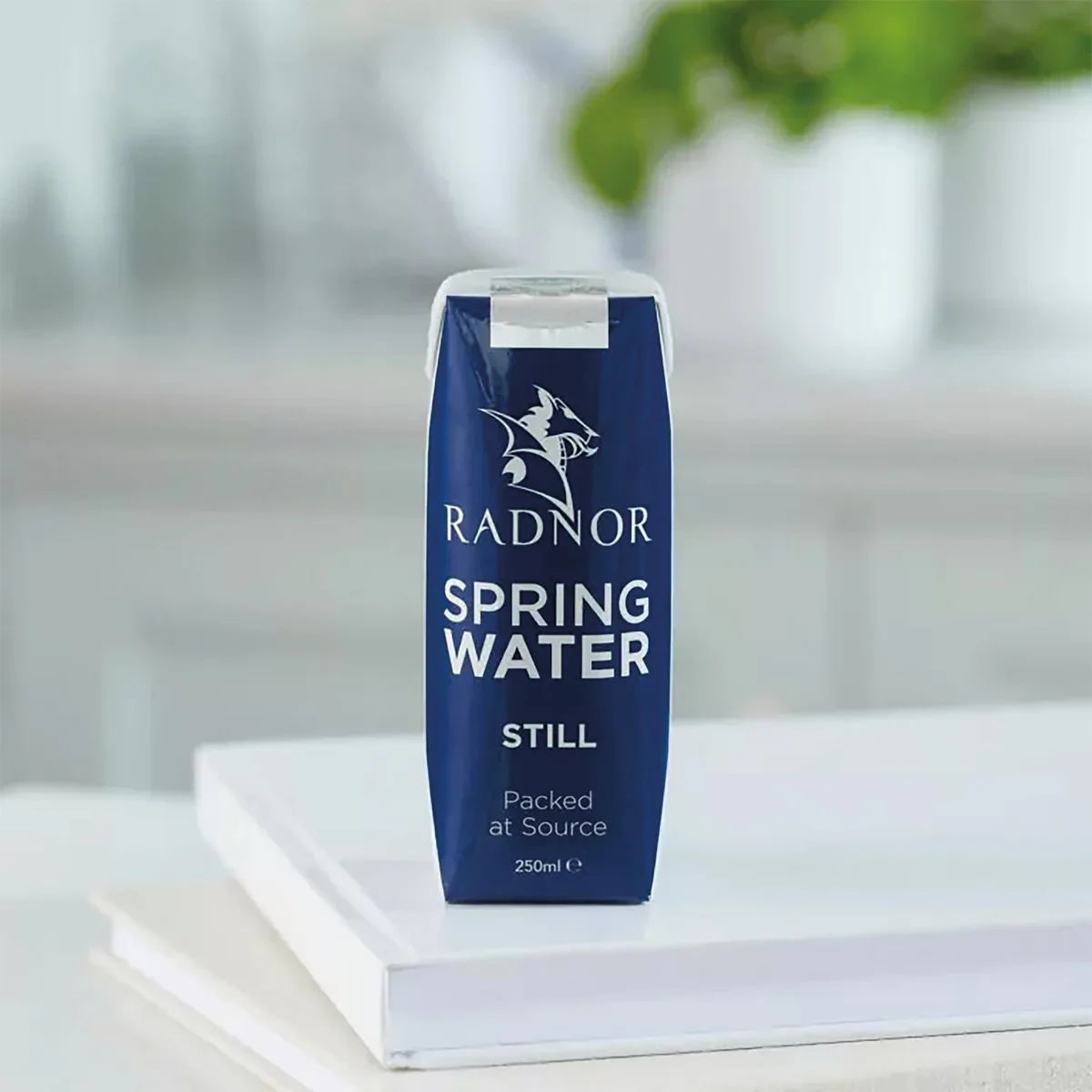 Radnor Still Spring Water 250ml Tetra Pak (Pack of 24) 0201025 - Image 3