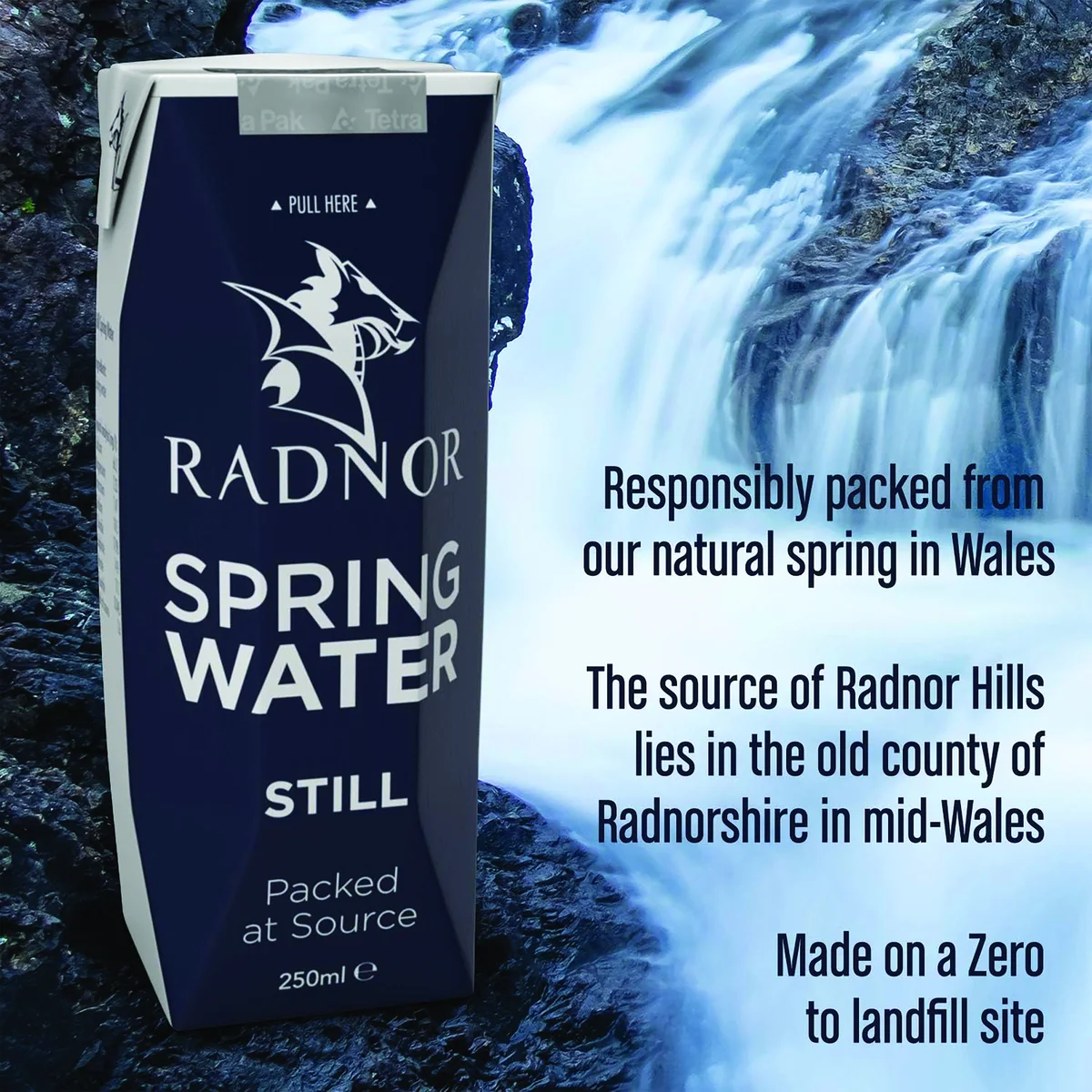 Radnor Still Spring Water 250ml Tetra Pak (Pack of 24) 0201025 - Image 4