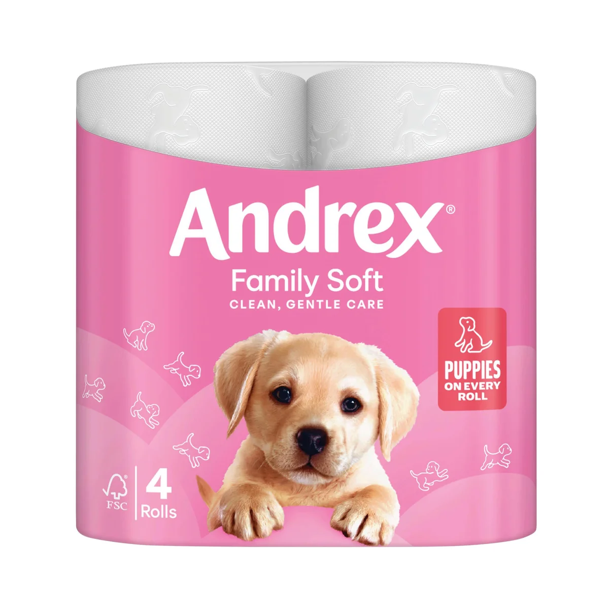 Andrex Family Soft Toilet Roll 2-Ply 170 Sheets per Roll 6x4 (Pack of 24) 4490863 - Image 3