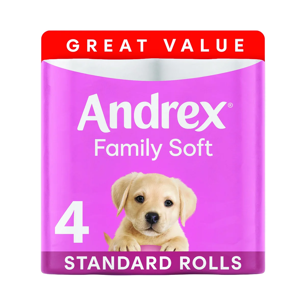 Andrex Family Soft Toilet Roll 2-Ply 170 Sheets per Roll 6x4 (Pack of 24) 4490863 - Image 4