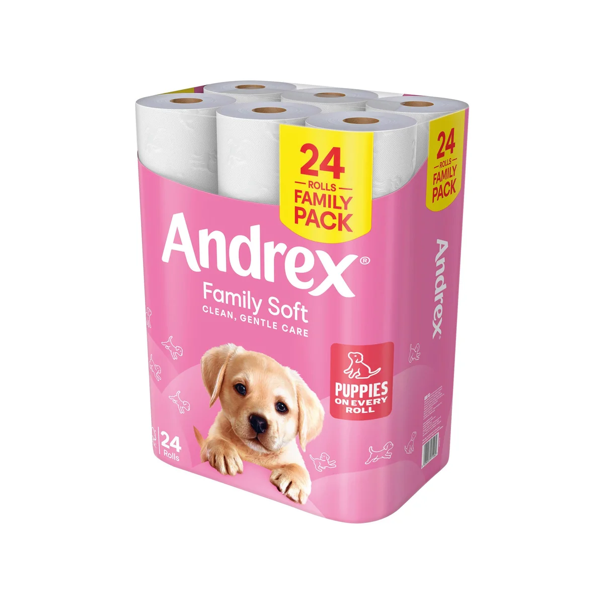 Andrex Family Toilet Roll 2-Ply 170 Sheets per Roll (Pack of 24) 4978918 - Image 2