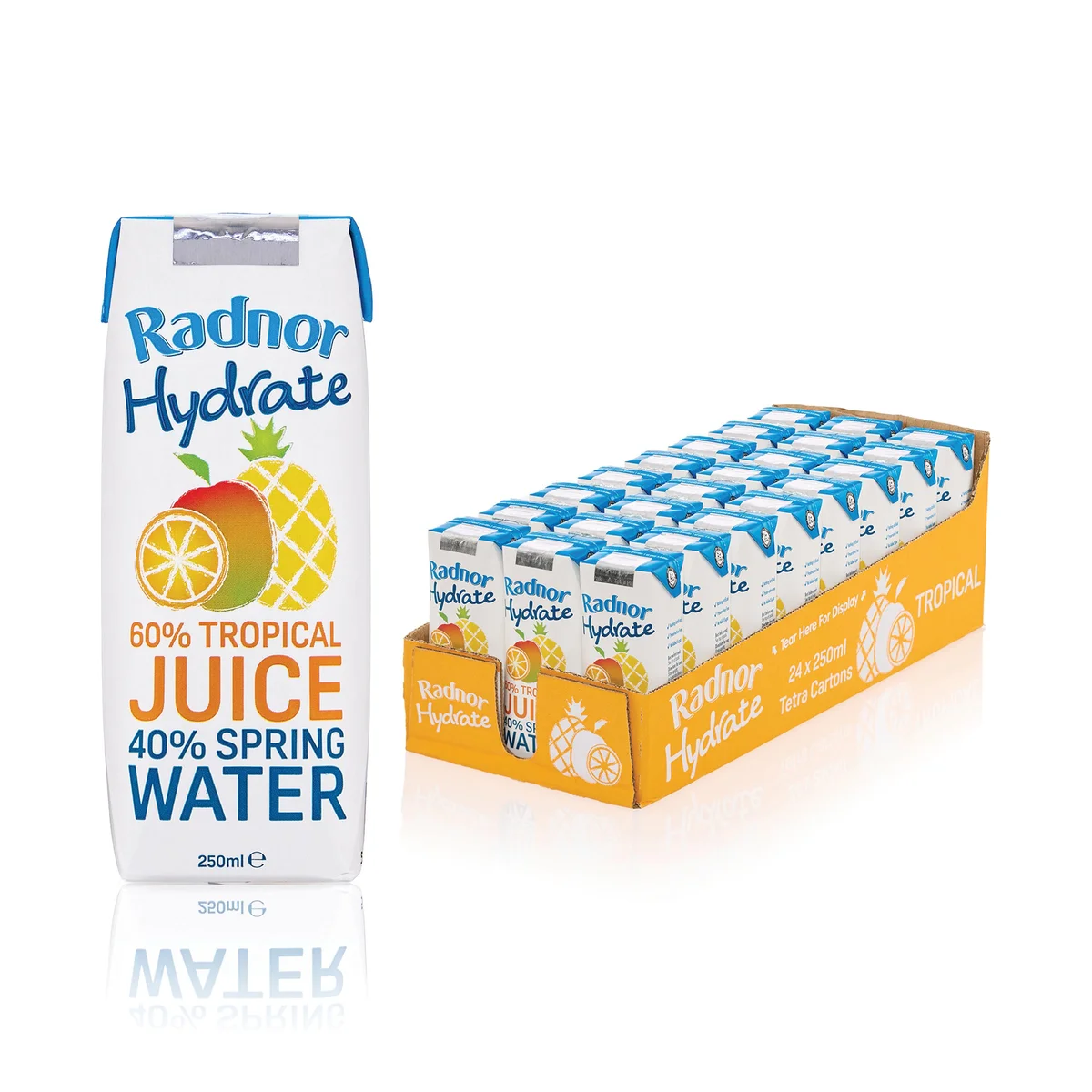 Radnor Hills Hydrate Water Tetra Pak Tropical 250ml (Pack of 12) T-RH25TR/24 - Image 2