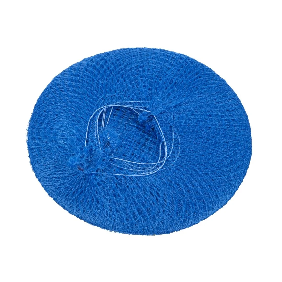 Lion Haircare Hair Net Light Blue - Image 6