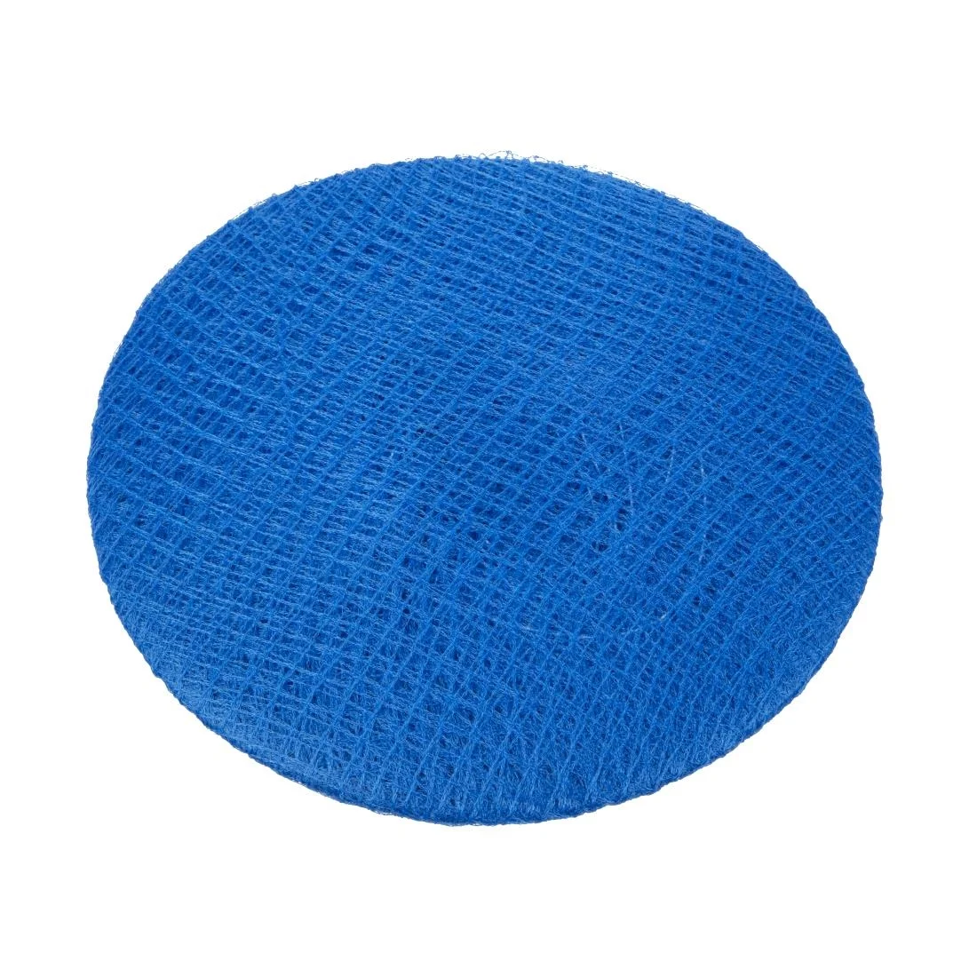 Lion Haircare Hair Net Light Blue - Image 7